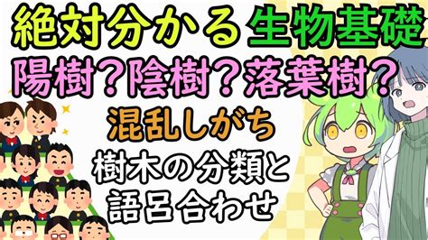 陽木|陰樹と陽樹の違いと代表的な樹木 